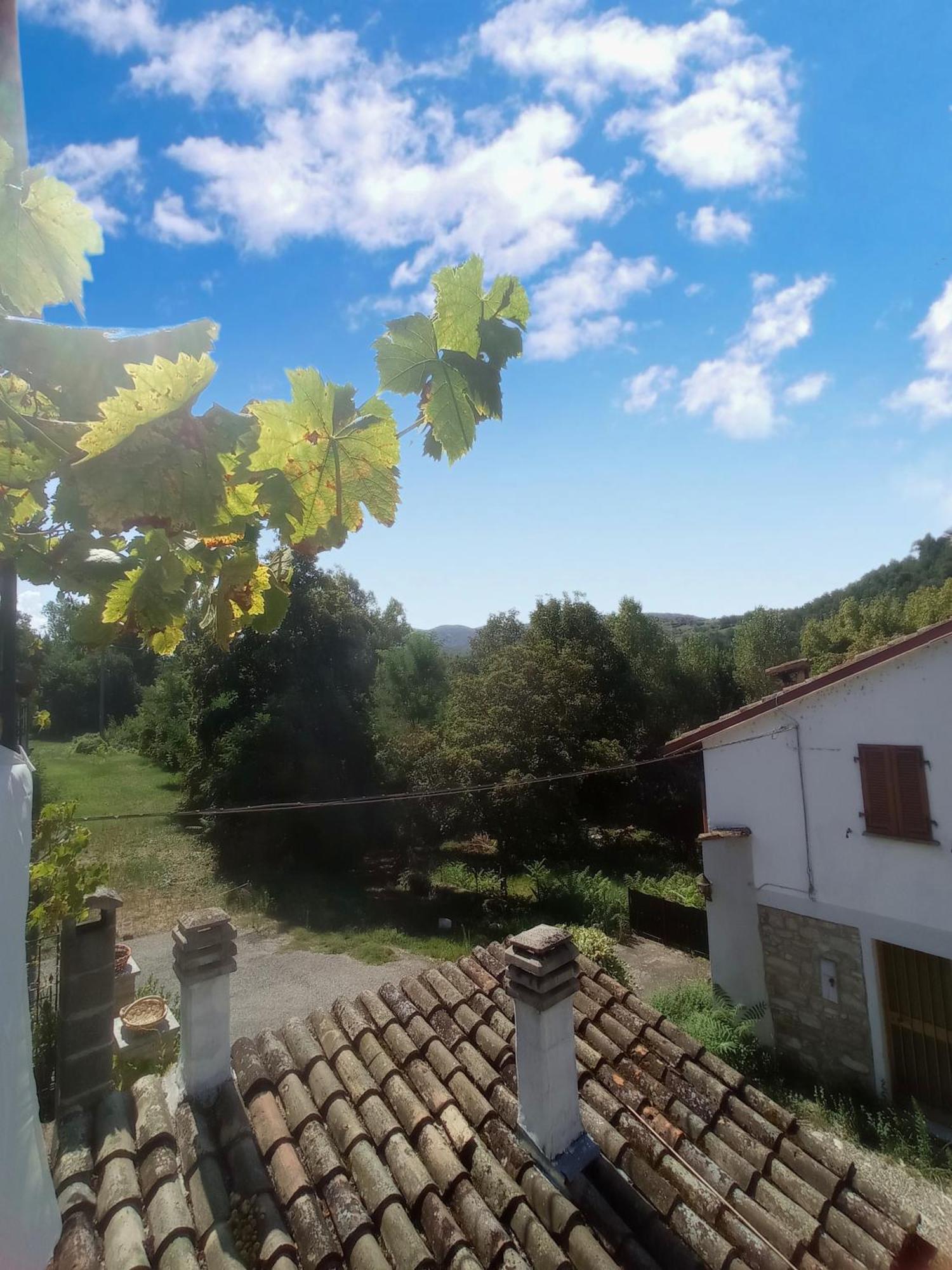 Dulcius Ex Asperis Bed & Breakfast Ponte Nizza Buitenkant foto